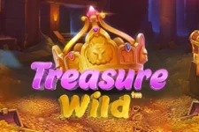 treasure-wild slot