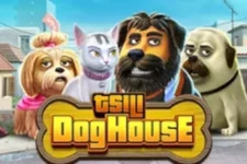 tsili-dog-house slot