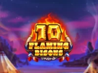 10 Flaming Bisons Logo
