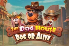 the-dog-house-dog-or-alive slot