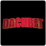 dachbet-casino-logo