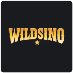Wildsino Casino Logo